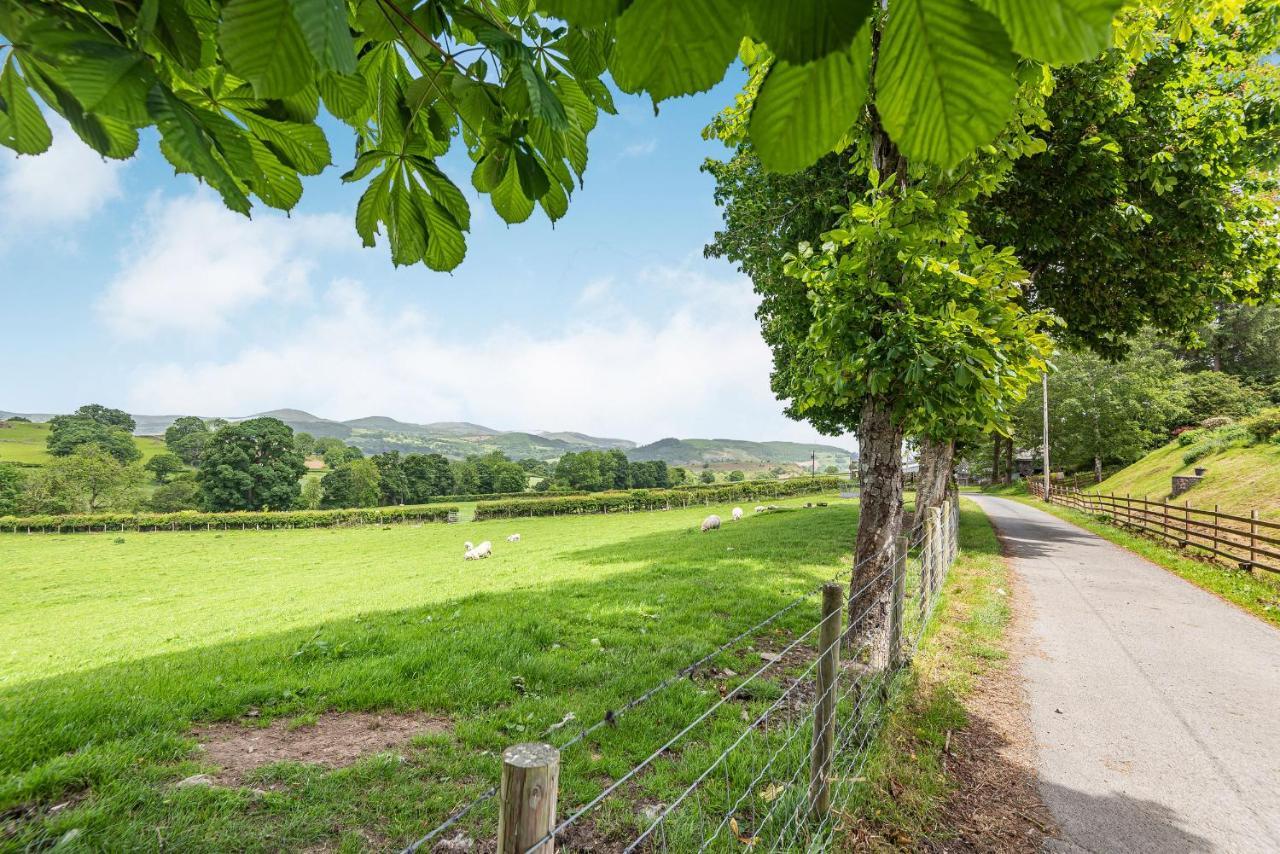 Llanfor Waedog Bachヴィラ エクステリア 写真